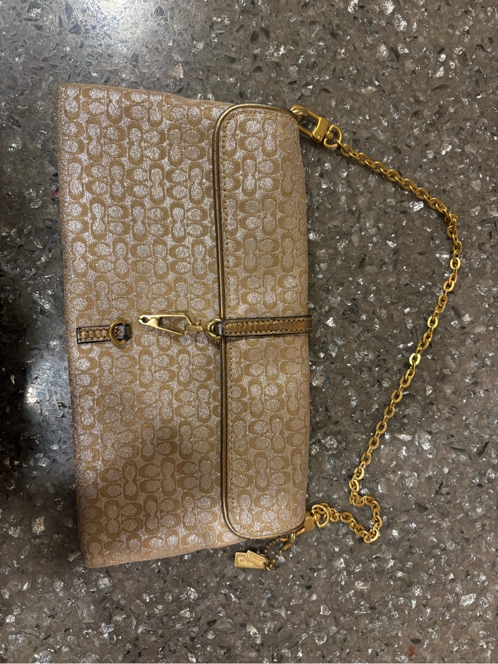 Coach Gold Shimmer
Signature Canvas Leather
Vintage Metallic chain shoulder bag